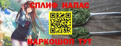 молекула духа Будённовск