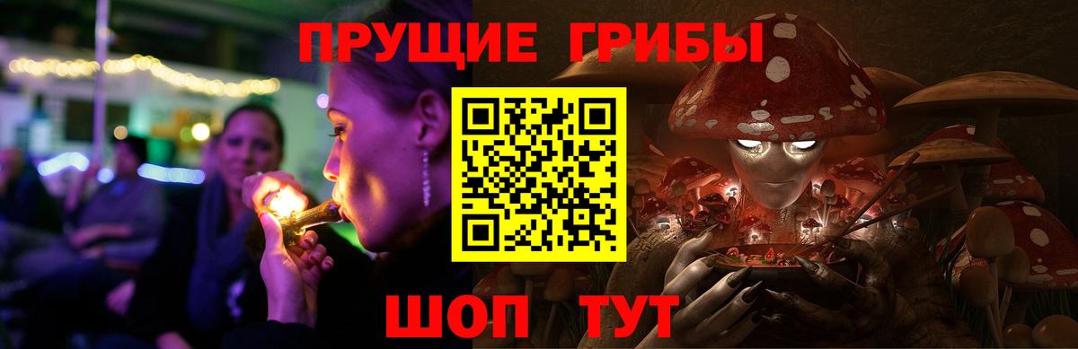 Галлюциногенные грибы Psilocybine cubensis  купить закладку  Вход с VPN  Елизово  Галлюциногенные грибы Psilocybe 